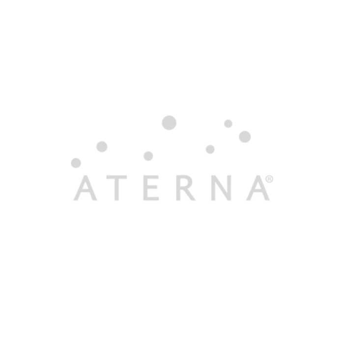 Logo Aterna